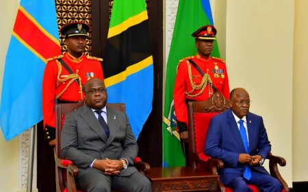 Coopération : La RDC et la Tanzanie veulent renfoncer le partenariat dans le secteur de transport
