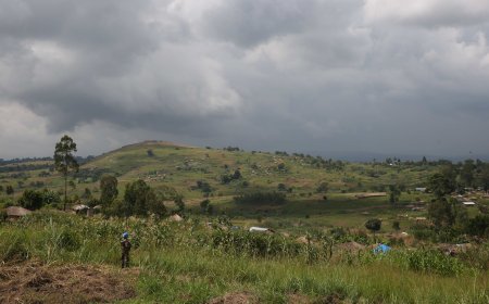 Nord-Kivu : le M23 multiplie des meetings pour réclamer le dialogue avec Kinshasa