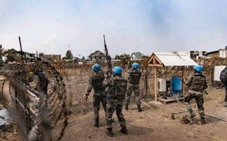 RDC : Fayulu préconise le remplacement de la MONUSCO par une nouvelle mission dotée des forces combattantes