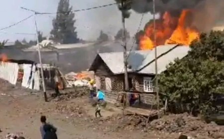 Massacre à Goma : l'armée congolaise aperçu entrain de piller l'église de Wazalendo (vidéo)