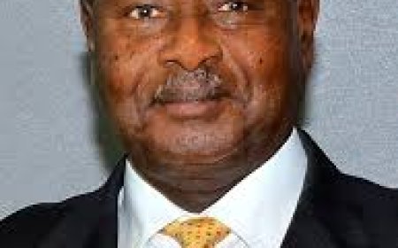 RDC : L'Ouganda a tué 567 rebelles ADF alliés à l'EI (Museveni)