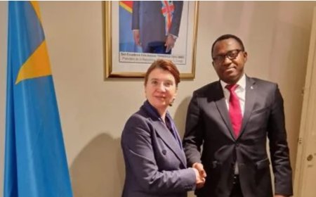 La Roumanie salue les efforts déployés par Félix Tshisekedi pour restaurer la paix en RDC