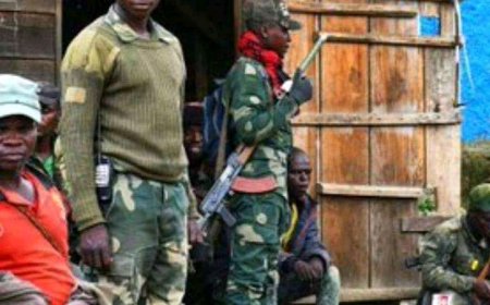 Les wazalendo, combattants Lumumbistes congolais n’ont pas besoin de l’autorisation de qui que ce soit et même des Etats – Unis, pour libérer leur pays (Tribune) !