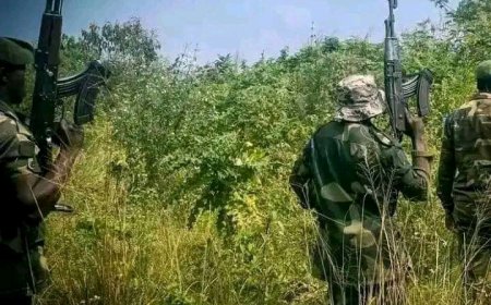 Nord-Kivu : après la cité de Kitchanga, une nouvelle localité passe sous le contrôle de la rébellion M23 !