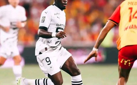 RDC : Arnaud Kalimuendo est-il proche des léopards ?