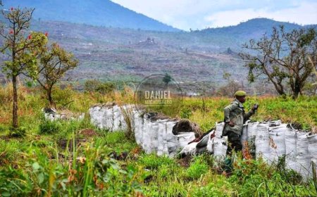 Agression rwandaise : La situation sécuritaire est rapportée calme ce matin du mercredi sur tous les axes des affrontements