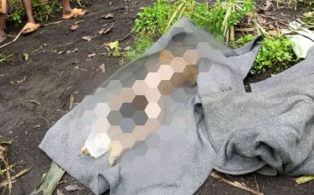 Masisi: Deux corps sans vie découverts ce 2 novembre à Sake