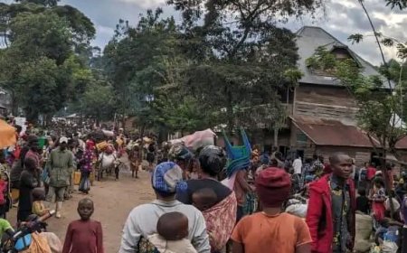 Nord-Kivu : près de 450 000 déplacés supplémentaires depuis la reprise des hostilités (CICR)