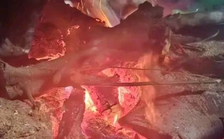 Nord-Kivu : un député provincial passe sa première nuit dans la brousse de l'Ituri pour appuyer les FARDC