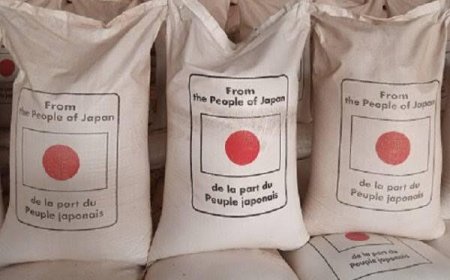 RDC : le Japon fait un don de 4.757 tonnes de riz pour assurer la sécurité alimentaire de la population