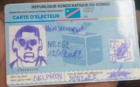 Élections : Un député de l'UDPS demande à la CENI d'autoriser le vote avec des cartes d’électeur défectueuses