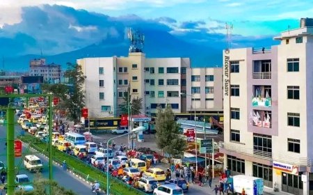 Goma : La mairie interdit toute circulation avec des chiens en ville ( communiqué)