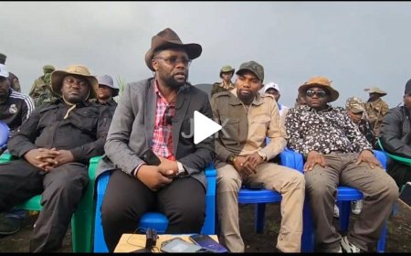 Élections : Entres Katumbi, Fayulu et Tshisekedi, les Wazalendo choisissent leur candidat (Découvrir dans la vidéo)