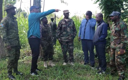 Ituri : les notables plaident pour la sécurisation des minerais contre la menace Nangaa