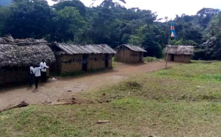 Nord-Kivu : la notabilité de Walikale déplore la baisse du niveau de l’enseignement primaire et secondaire