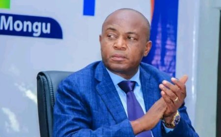 Kinshasa: Gentiny Ngobila contraint de démissionner dans 48 heures