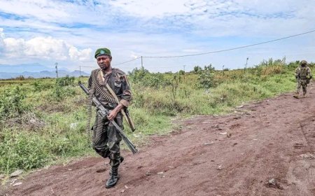 Nord-Kivu : 13 éléments du M23/RDF déposent les armes auprès des FARDC