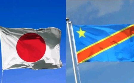 Projet Inga : le Japon annonce son apport à la RDC