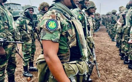Elias Magosi : « La force de la SADC vient avec un mandat pour sécuriser la partie Est de la RDC »