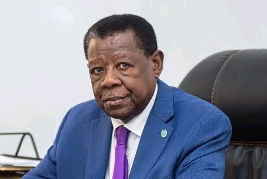 Fraude électorale: Lambert Mende Omalanga impliqué à Lodja dans le Sankuru