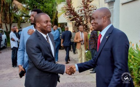 Désignation de l'informateur: " Le Président de la République vient de placer au-dessus de la mêlée son principal homme de confiance" ( Junior Mata M'elanga)