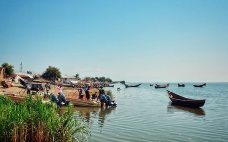 La présence des pirates et des miliciens rend difficile le trafic sur le lac Albert (autorité lacustre)