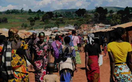 RDC: au moins cinq civils exécutés par la milice Zaïre à Djugu