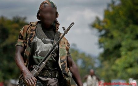 Ituri : 16 combattants de miliciens rejoignent le P-DDRCS après s’être rendus aux FARDC