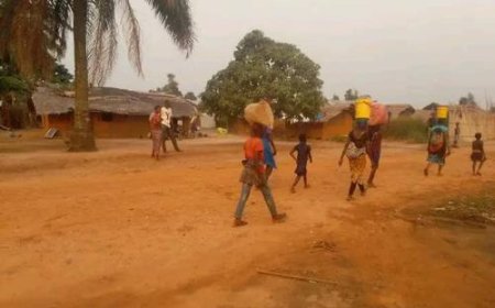 RDC: Des nouveaux affrontements signalés entre l’armée et les miliciens Mobondo