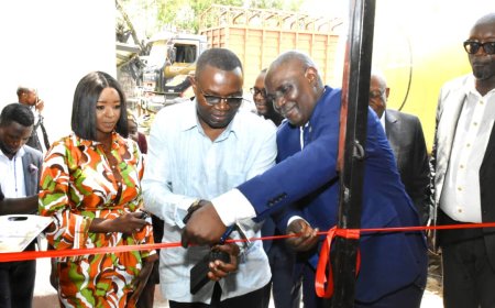 Kinshasa : inauguration de la première usine de production de cure-dents