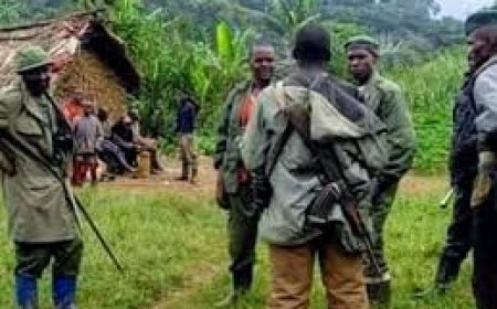 Le M23 se dote de nouvelles « armes sophistiquées » (António Guterres)