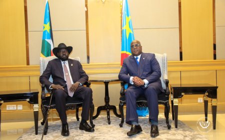 Crise dans l’Est de la RDC : Felix Tshisekedi et Salva Kiir appellent à la relance des processus de paix de Nairobi et de Luanda