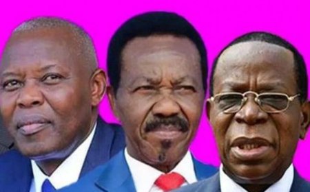 Perchoir de l'Assemblée nationale : la bataille entre Kamerhe et Mboso lancée
