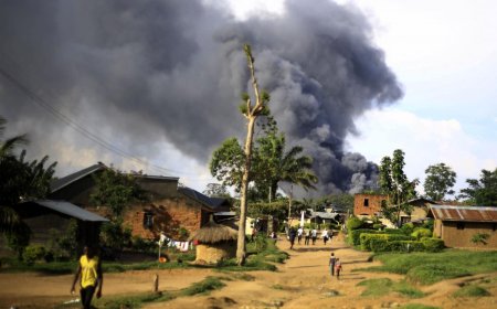 Nord-Kivu : un médecin traitant du chef de l’ADF neutralisé dans la région de Beni