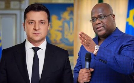 L'Ukraine veut relancer sa collaboration militaire avec la RDC