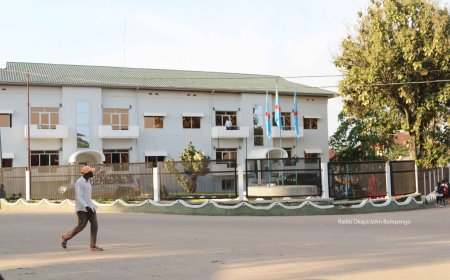 RDC : des dizaines de civils tués dans des affrontements intercommunautaires pour des terres