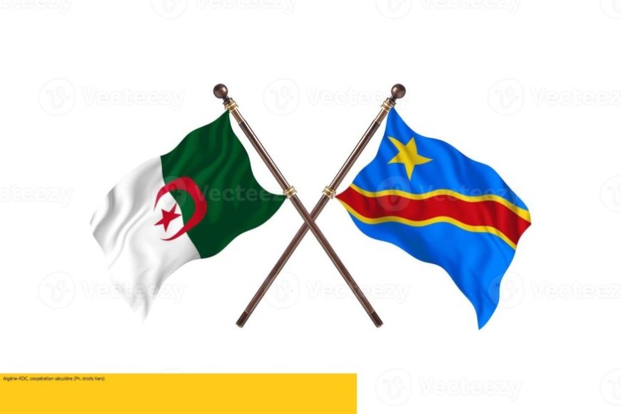 Le Président algérien offre plus de 120 tonnes de vivres et non-vivres au Gouvernement congolais