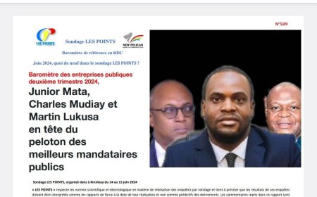 FLASH : Le DG Junior Mata de la CNSSAP en tête du peloton des meilleurs mandataires publics en RDC ( Intitut de Sondage "les Points")