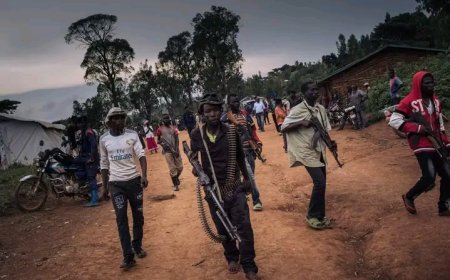 Ituri: 12 miliciens CODECO tués lors des bombardements effectués par l’armée à Djugu