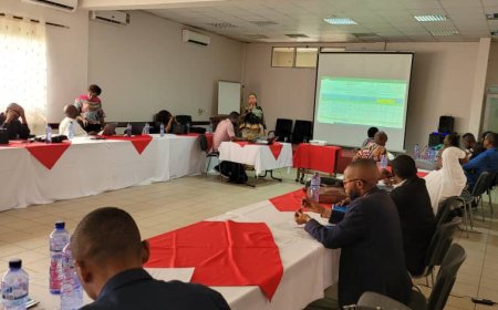 Projet KOICA : FMMDI présente ses réalisations au Kasaï Central à l'atelier du Comité technique à Kinshasa