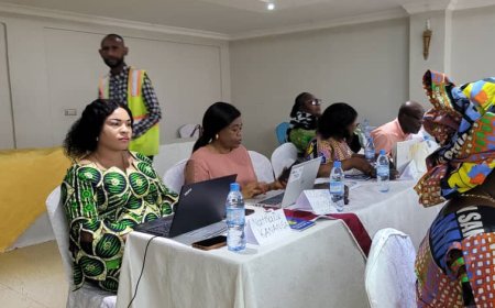 RDC : À Goma, des activistes membres du mouvement Rien sans les femmes renforcent la stratégie de collaboration entre les 26 provinces