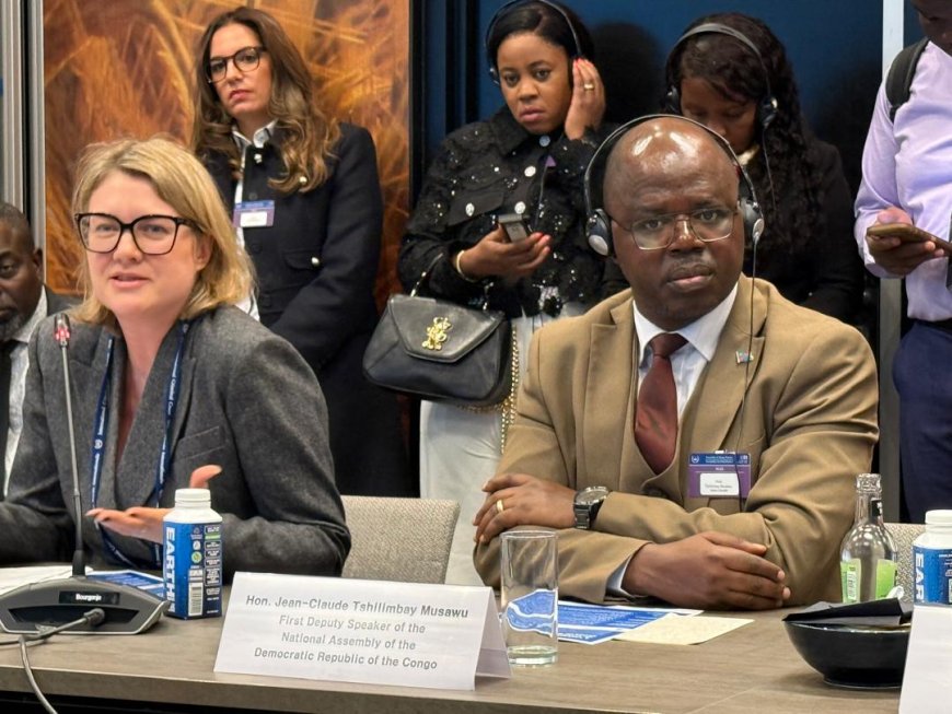 23ème session de l'Assemblée des États parties au Statut de Rome : Jean Claude Tshilumbayi plaide pour la construction d'une cour internationale en RDC