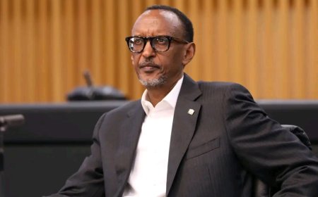 Situation sécuritaire dans l'est de la RDC : L'Allemagne s'active contre le Rwanda