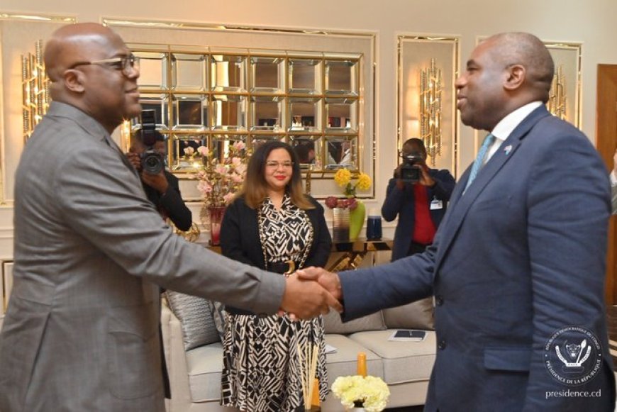 Diplomatie et Sécurité : La Grande-Bretagne renforce son soutien à la RDC face à l'invasion rwandaise