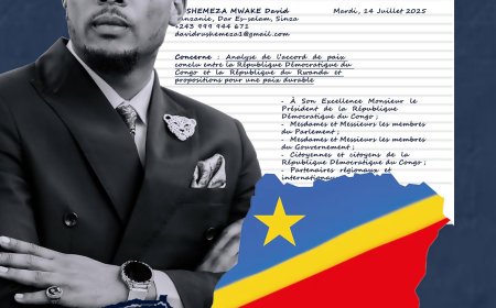 Guerre à l'Est :  RUSHEMEZA  MWAKE David, analyse l'accord de paix signé entre la RDC et le Rwanda et adresse une lettre au président Félix Tshisekedi