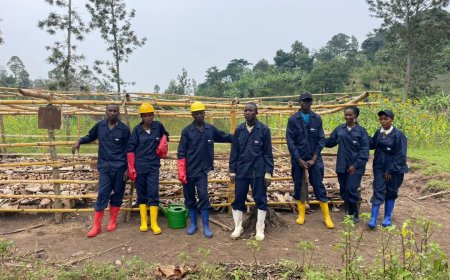Idjwi : l’ACCB mise sur le reboisement pour protéger l’environnement et employer les jeunes